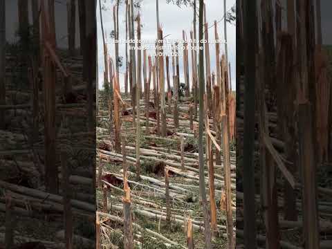 Tornado Espigão alto do Iguaçu 10/09/2026