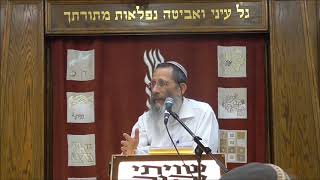 חופש