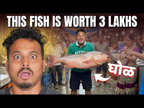 Costliest Fish Ever | Arnala | Vlog 311 | #justneelthings