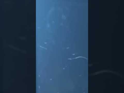 I Like Your Skin G | Namoto-Chan