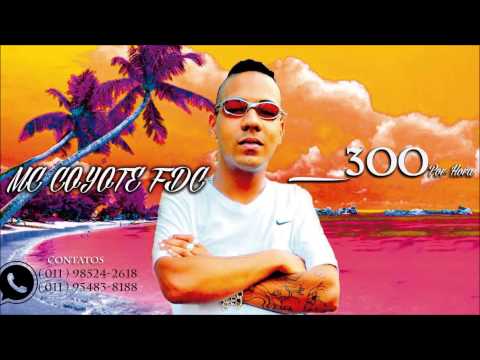 Mc COYOTE FDC - 300 por hora