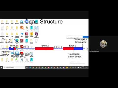 Gene ontology GO  analyisi