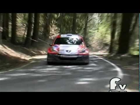 Gianesini / Solari - Rally Internazionale dei Laghi 2012