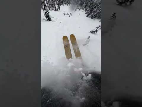 Men's Ski #GoProLineOfTheWinter January Awardee 🎬 Logan Pehota #Shorts #Ski