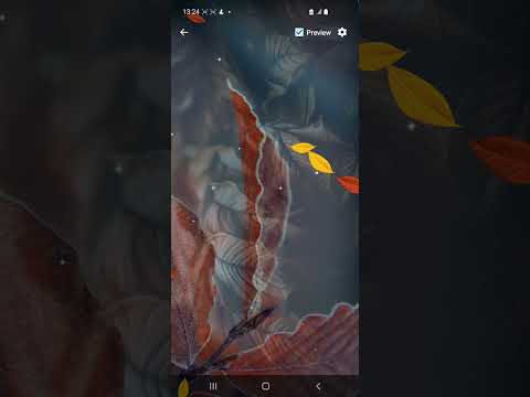 Autumn Wallpapers Galler video thumbnail