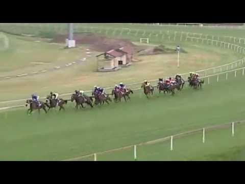 2015.02.28 Betting World Gauteng Guineas (RSA) - Harry's Son