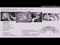 Hawkwind - Reptoid Vision [live]