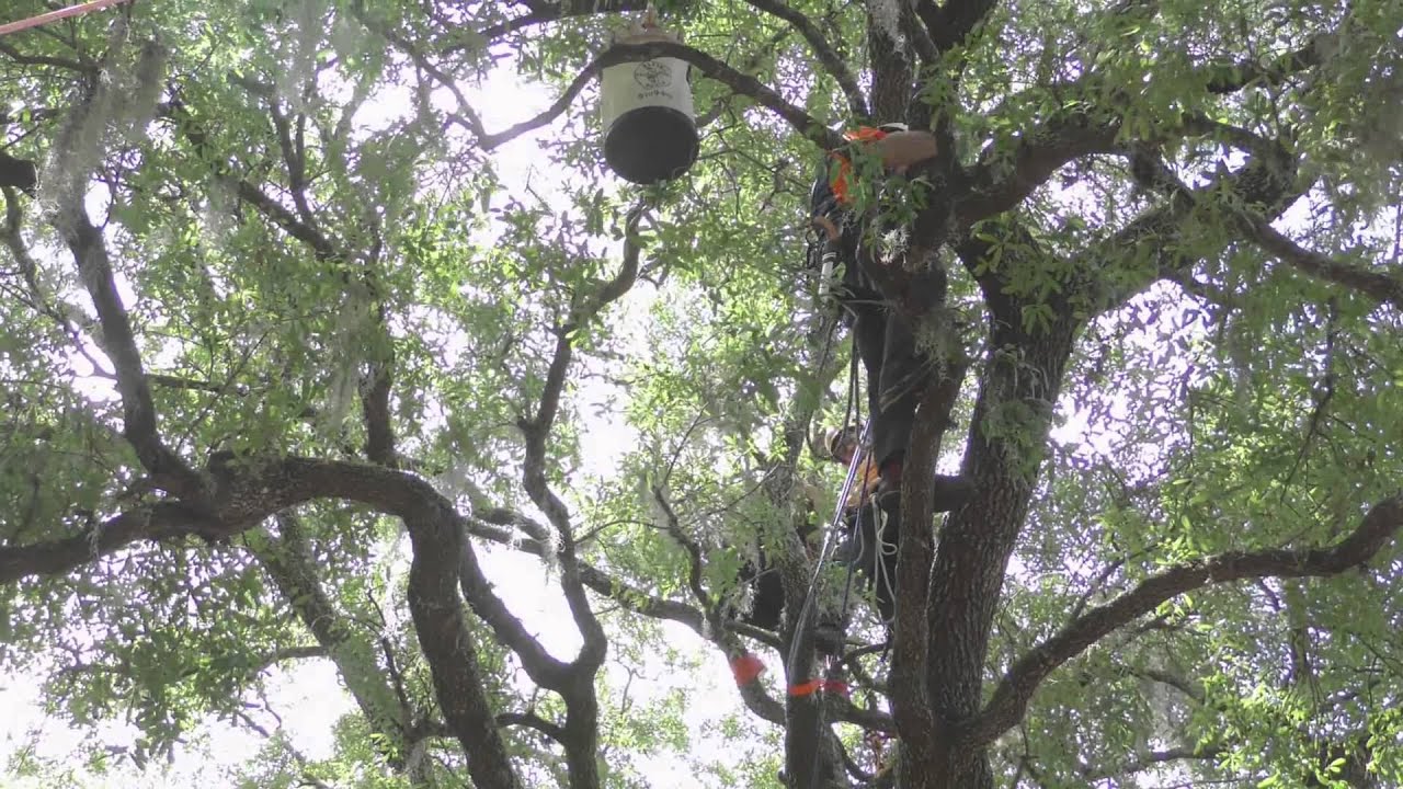 Extended Workclimb video 2015 ITCC