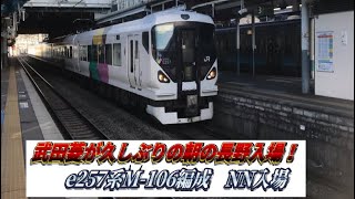 [武田菱が久しぶりの朝の長野入場！]e257系0番台M-106編成 NN入場