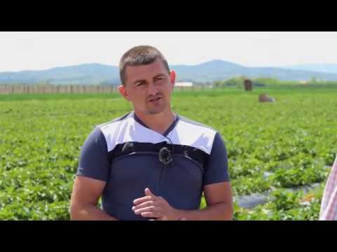 Biram selo ep. 71 06.05.2020. Ribari, Milan Mijušković, jagode, maline