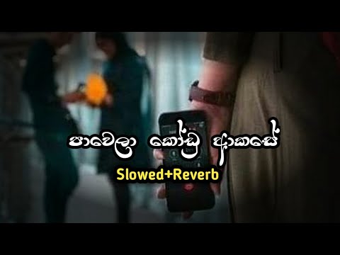 Pawela Kodu Akase| පාවෙලා කෝඩු ආකාසෙ(Slowed+Reverb) || Anumusic