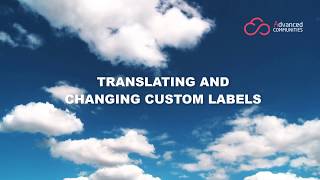 How to Translate/Override Custom Labels in Salesforce