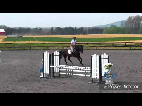 California HITS Culpeper 0.9m and 1m 4-21-2016