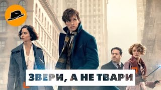В ожидании Фантастических Тварей