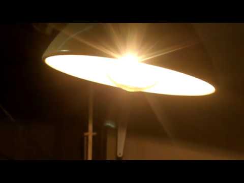 Общество любителей лампочек Свет Истины