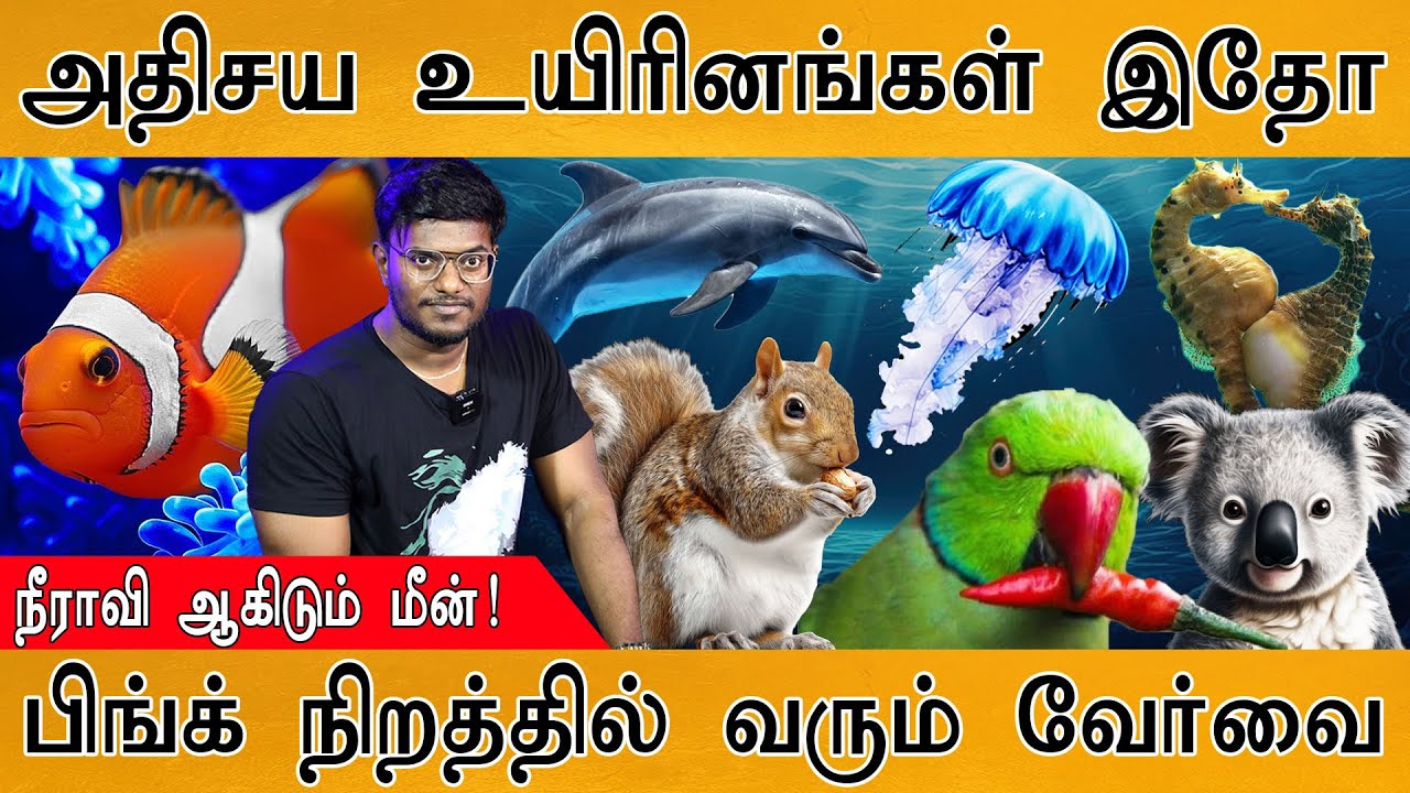 🐿️அதிசய உயிரினங்கள் இதோ! | நீராவி ஆகிடும் மீன்! | பிங்?