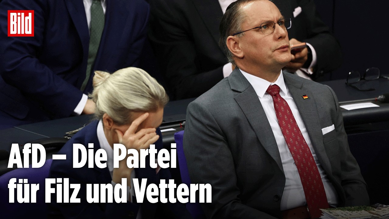 Aktuelle Stunde im Bundestag: AfD über die Beschäftigung von Verwandten