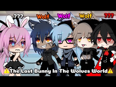 One Bunny In A Whole World Of Wolves || Meme / GLMM || Gacha Life Story || [ Original ] || Part 1 ||