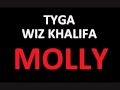 Tyga feat. Wiz Khalifa & Mally Mall - Molly (NEW ...