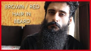Do You Have Brown/Red Hair In Your Beard?? | Bearded Chokra