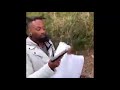 Does A Pillow Really Silence A Gun Experiment