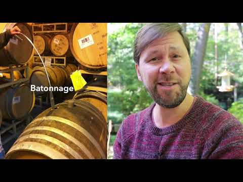 Domaine Gérard Berger Hautes Côtes de Beaune Blanc 2019