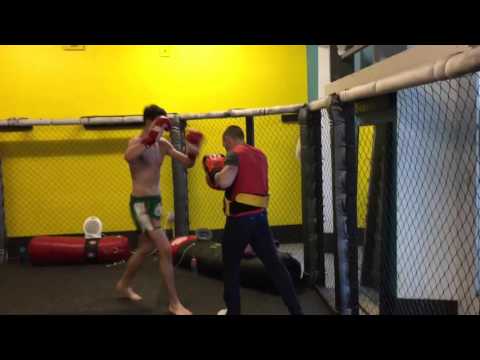 15 year old Ben pads + clinch