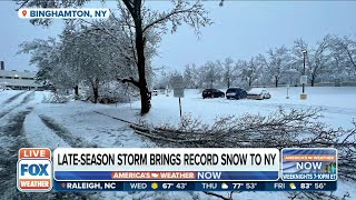 Nor'easter Has Broome County, NY Possibly Without Power For Days
