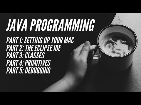 Java Programming Part 4 Primitives Complex Objects And Input And Output