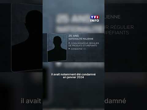 🔴 Agression dans le métro : OQTF, vol aggravé... le profil inquiétant du suspect｜TF1 INFO