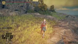 エルデンリング　2周目プレイ記録ライブ#65