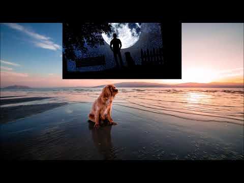 Hundstage, 23. Juli, Gedicht Hundstage, Hunde , Tiere, Wetter, Sonne, Hitze