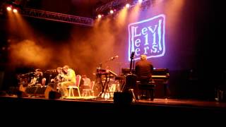 Levellers Elation 17/10/2013