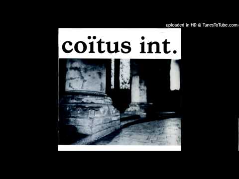 Coïtus Int. - The Connection Is Obvious