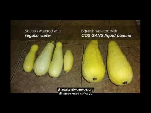 2017 02 22 PM Public Teaching in Romanian - Cursuri publice în română