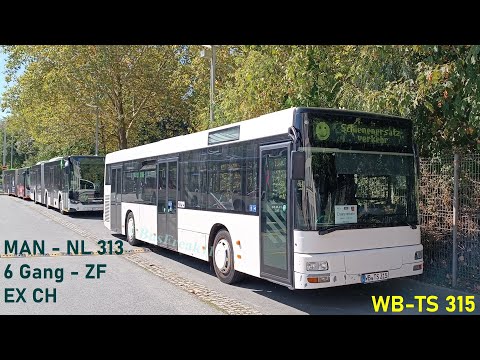 (Videos/MITFAHRTEN) MAN-NL 313, WB-TS 315 d. Michelsberg GmbH [Bj.2005, ZF / D28] | BusFreak11
