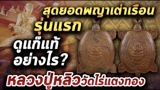 สุดยอด พญาเต่าหลวงปู่หลิว วัดไร่แตงทอง รุ่นแรก l หยิบกล้องส่องพระ 18/11/63