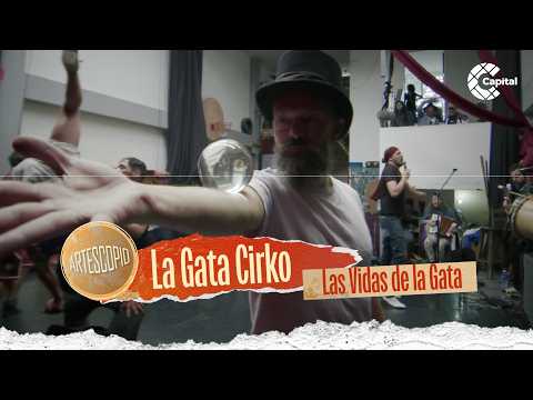 La Gata Cirko: 25 años transformando el arte circense en Bogotá | Artescopio