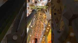 Is Visiting Sagrada Família Towers Worth It? A Breathtaking View Inside Barcelon