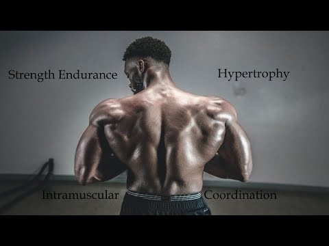 3 different Training Methods Strength Endurance | Hypertrophy | Strength/Intramuscular Coordination