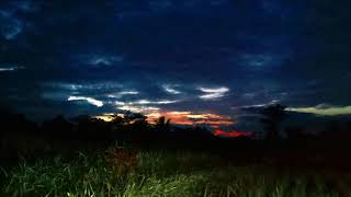 Download lagu SUARA KODOK SAWAH RAMAI MENYAMBUT MATAHARI PAGI mp3 Download lagu SUARA KODOK SAWAH RAMAI MENYAMBUT MATAHARI PAGI mp3