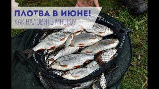 Ссылка