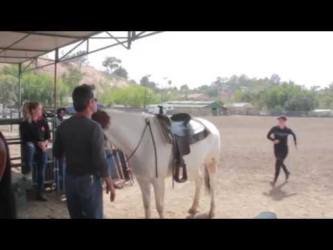 Давай я тебе помогу