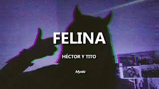 Felina Héctor y Tito Letra