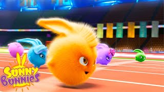 Download lagu SUNNY BUNNIES - THE OLYMPIC RACE! | Season 1 COMPILATION | Cartoons for Kids mp3