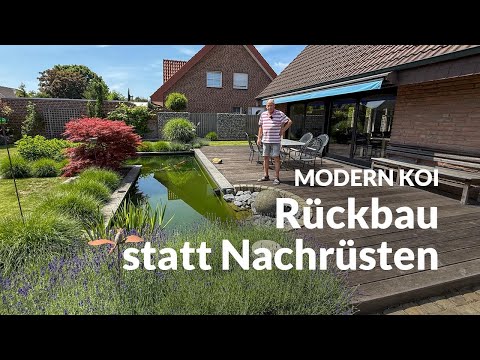Guidos 21.000l Teich ist am Limit  | Modern Koi Blog #7845
