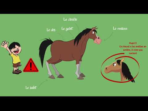 Exposé La Terre des chevaux - CP