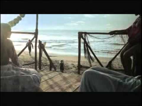 BECKER GATO SURFER BAILE