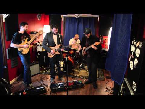 Mister F - Hedgehog (Original)