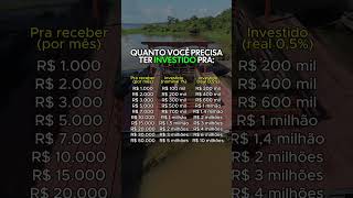 Com quanto eu consigo viver de renda? 💭